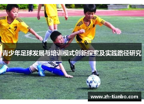 青少年足球发展与培训模式创新探索及实践路径研究
