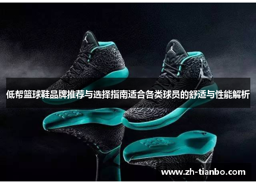 低帮篮球鞋品牌推荐与选择指南适合各类球员的舒适与性能解析