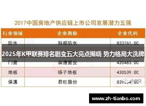 2025年K甲联赛排名剧变五大亮点揭晓 势力格局大洗牌