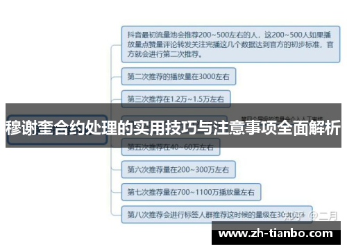 穆谢奎合约处理的实用技巧与注意事项全面解析