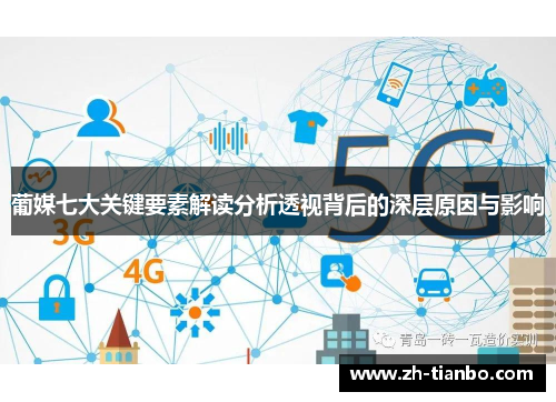 葡媒七大关键要素解读分析透视背后的深层原因与影响