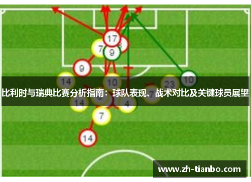 比利时与瑞典比赛分析指南：球队表现、战术对比及关键球员展望