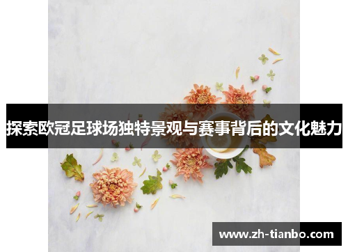 探索欧冠足球场独特景观与赛事背后的文化魅力